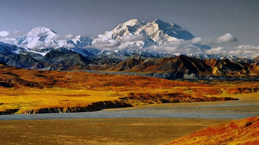 Exploring North America's Sky-High Giants